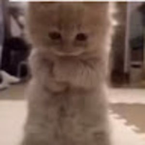 Meet your Posher, Pri